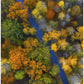 Autumn colors