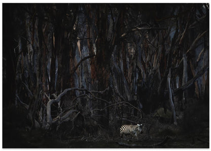 Walking in a dead forest