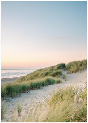 Dutch Dunes