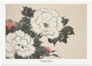 Flowers From Momoyogusa