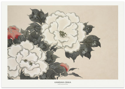 Flowers From Momoyogusa