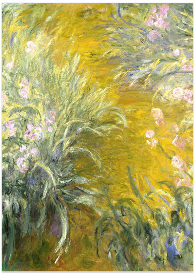 The Path through the Irises