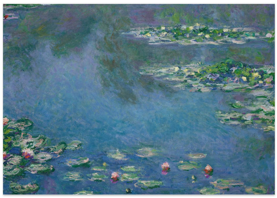 Water Lilies
