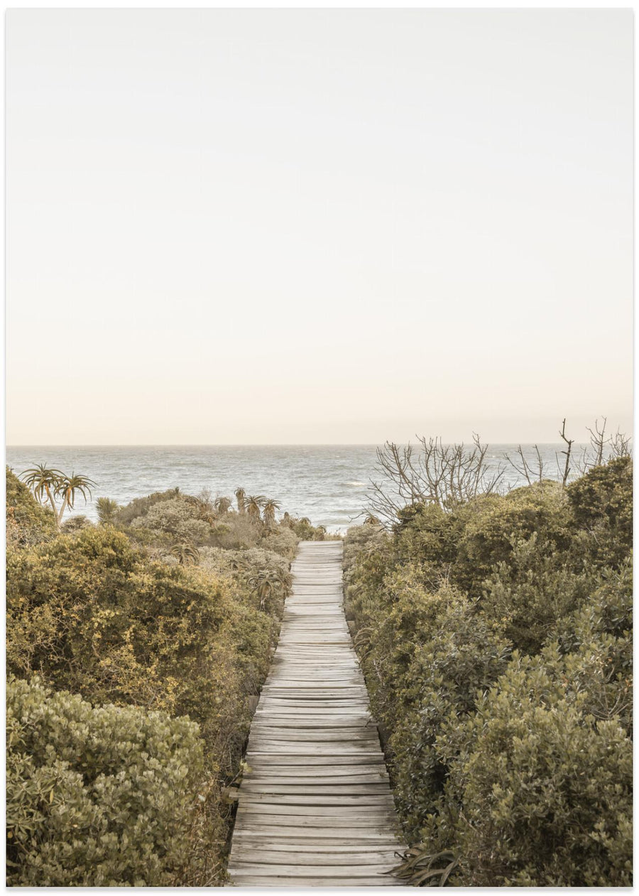 Boardwalk