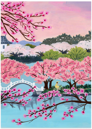 Cherry Blossom Serenity