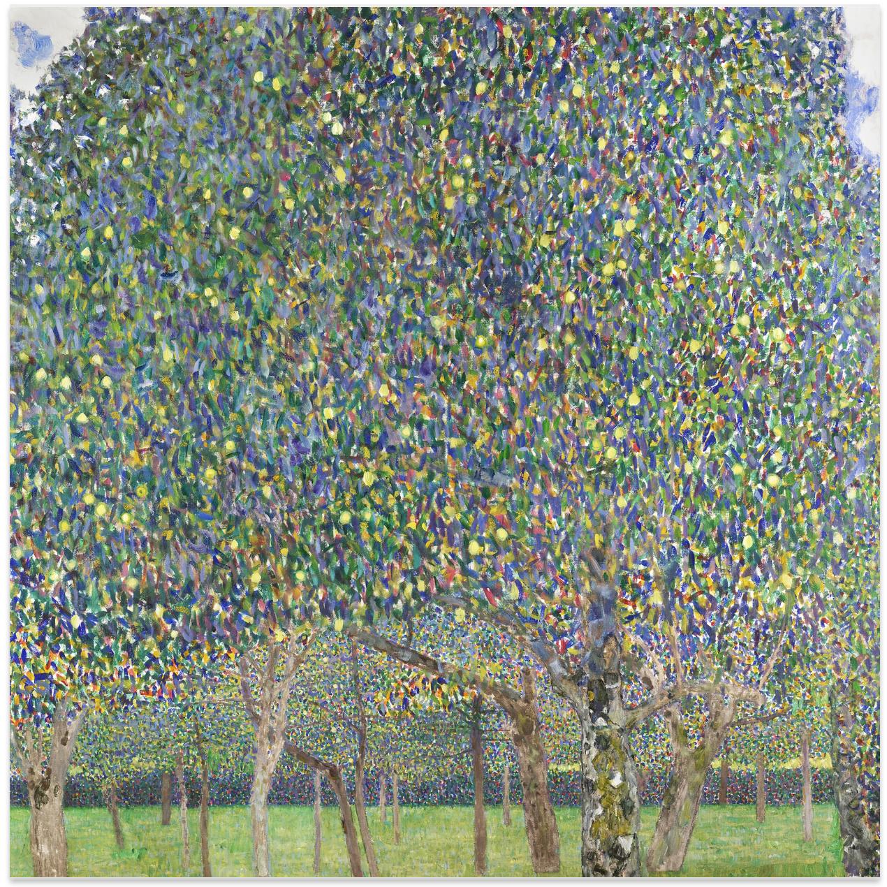 Pear Tree (1903)