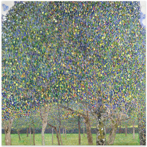 Pear Tree (1903)