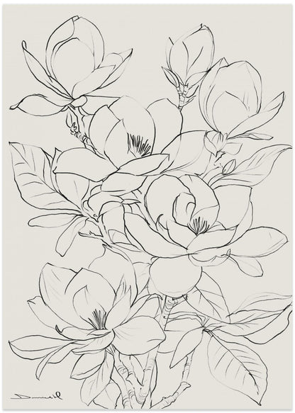 Magnolia Tree