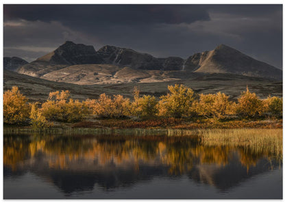 Golden autumn in Norway