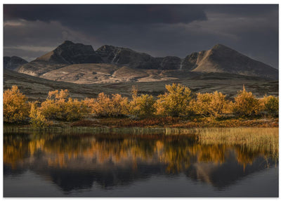 Golden autumn in Norway