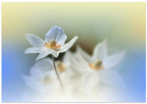 Because I Love You..