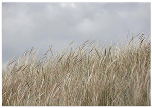 Dunes and Clouds
