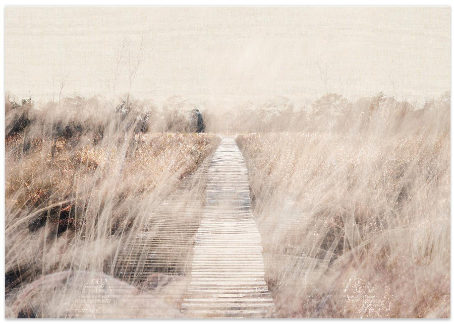 Dreamy landscape