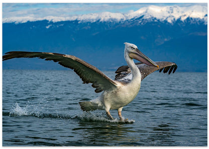 Crouching tiger, hidden dragon