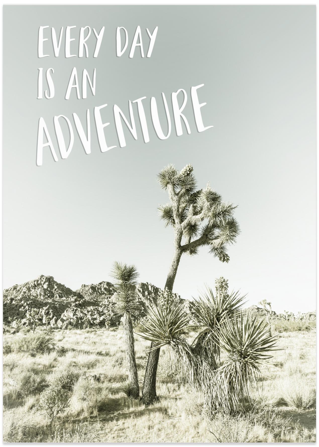 Every day is an adventure | Desert impression