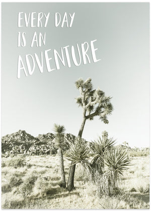 Every day is an adventure | Desert impression