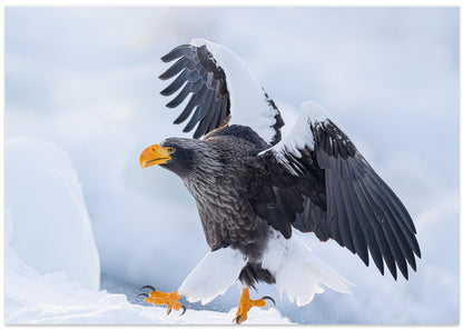 The ice is slippery.