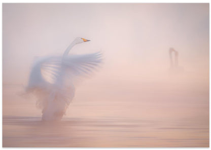 The ephemerality of distant love...