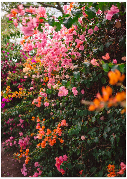 La Garden