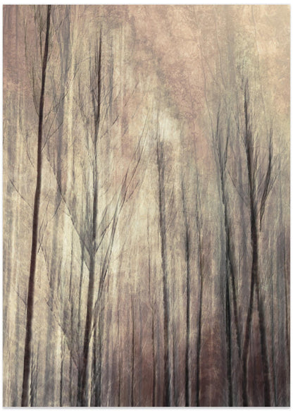 Fall forest