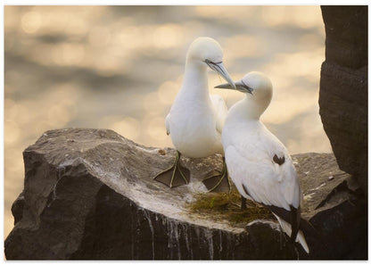 Love at The End of the Earth