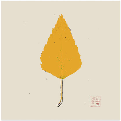 Birch