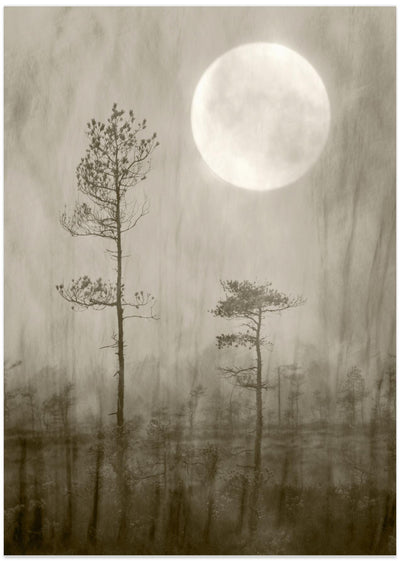 Moonlight, moor