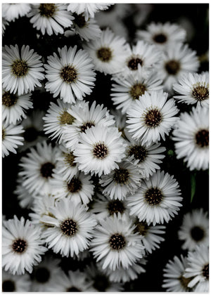 Tiny Flowers 3
