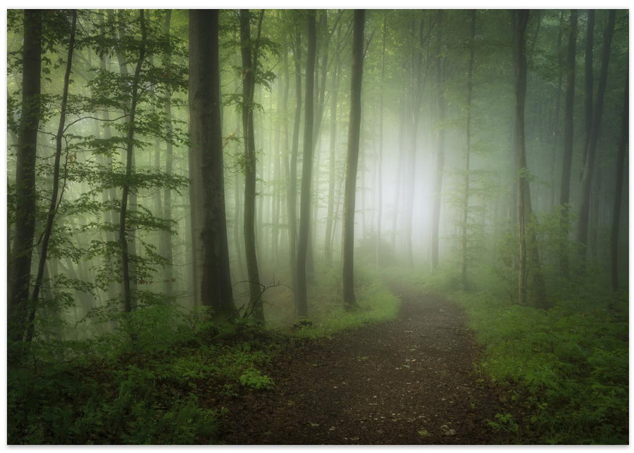A walk into spring