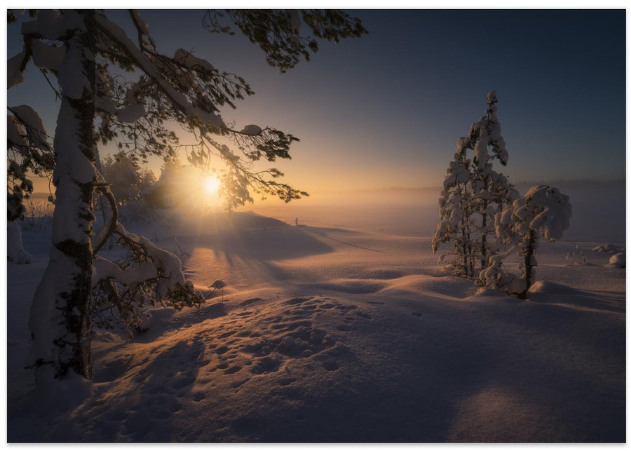 Misty Light