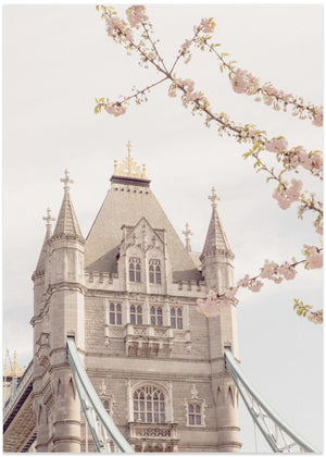 Towerbridgeblooms Ratio2x3