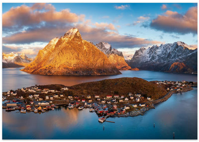 Reine
