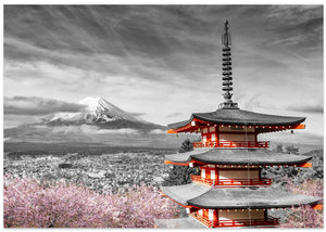 Cherry Blossoms Mount Fuji Pagoda
