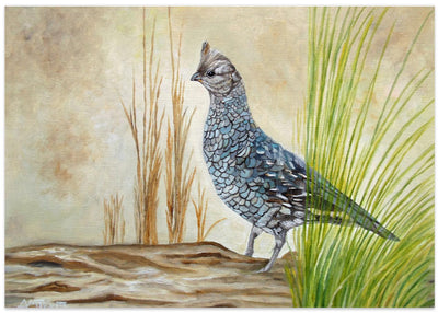 Texan Blue Quail