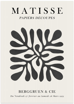 Matisse floral poster 1