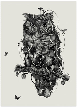 Owl