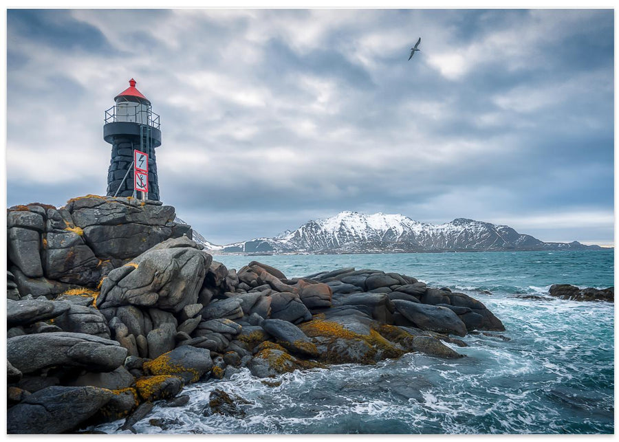 Lofoten VIII