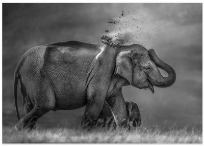Elephant mother and cub