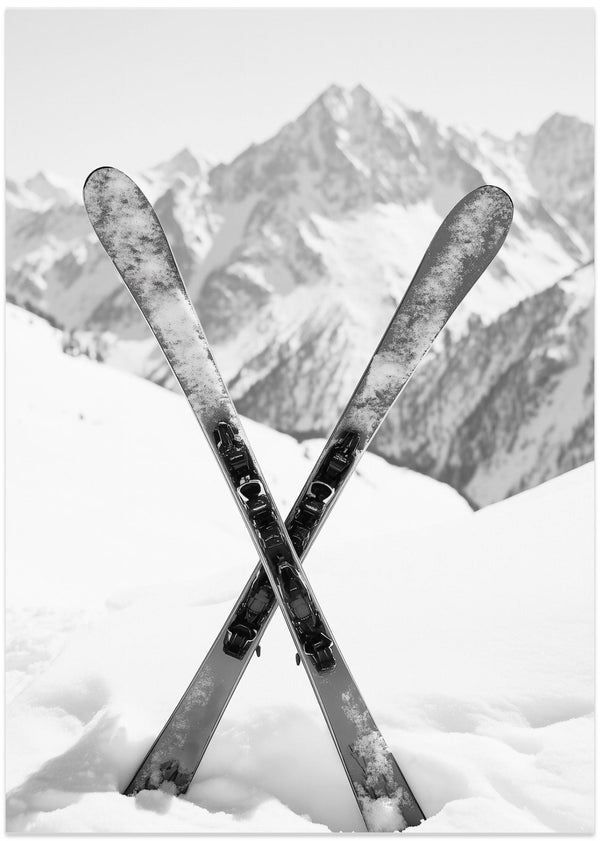 Skies Apls Black and White