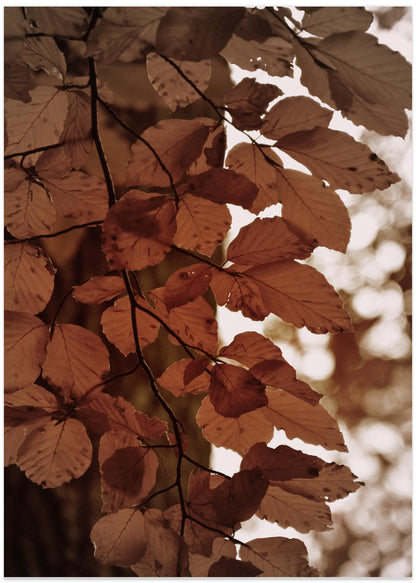 Leaf Art