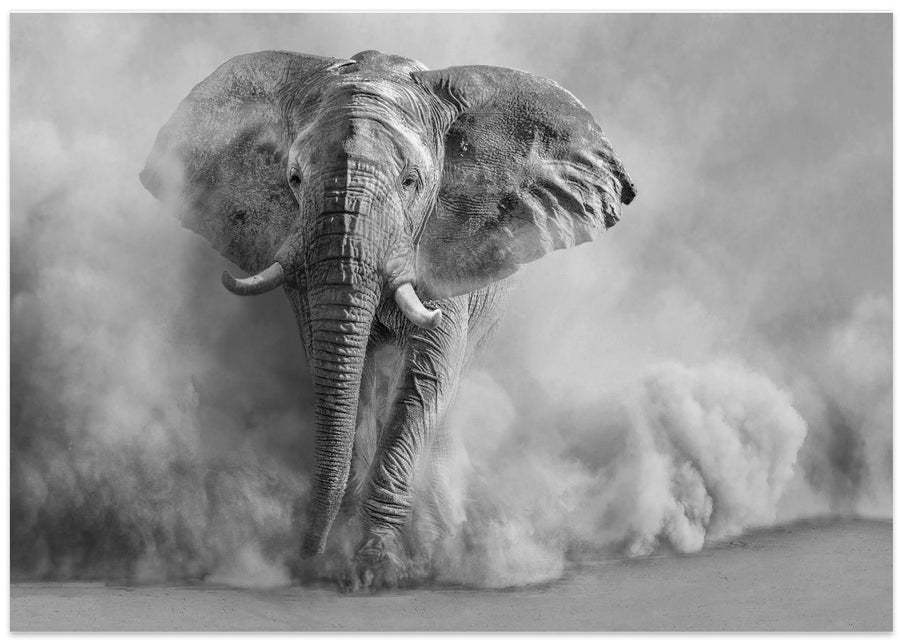 Sandstorm-BW