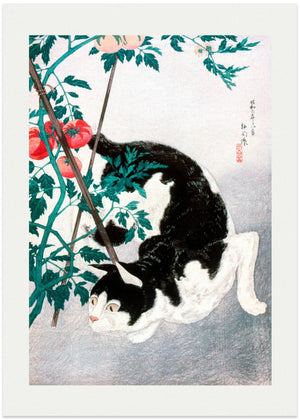 Cat With Tomato Plant (1931)