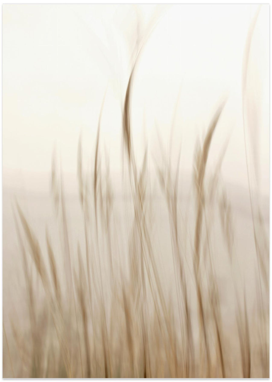In the wind