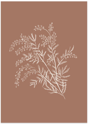 Acacia Botanical Branch