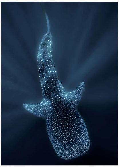 Spotted of the Deep
