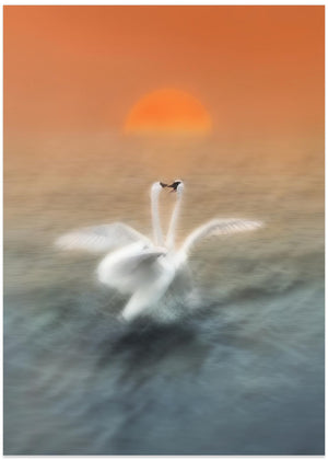 Dancing with light