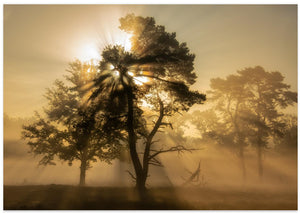 Popping sunrise....