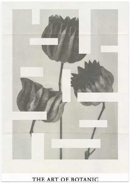 The art of botanic No. 1