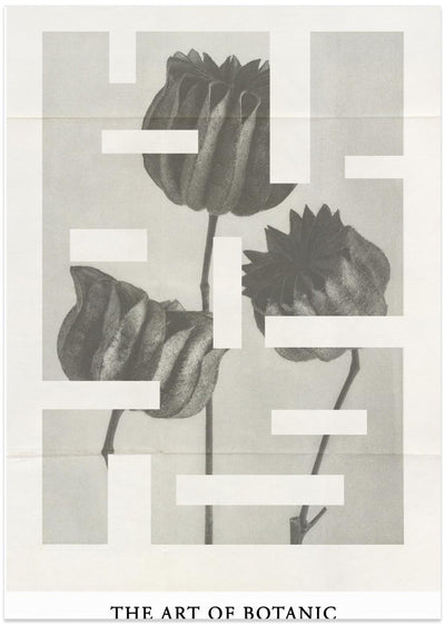 The art of botanic No.1