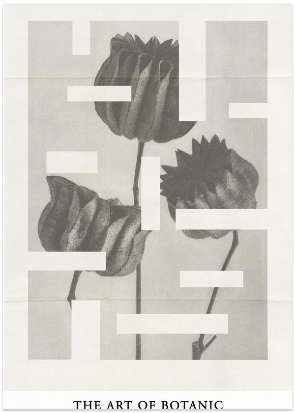 The art of botanic No.1